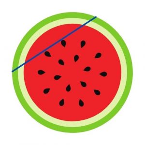 chord of a circle watermelon