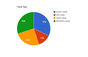 camp type pie chart