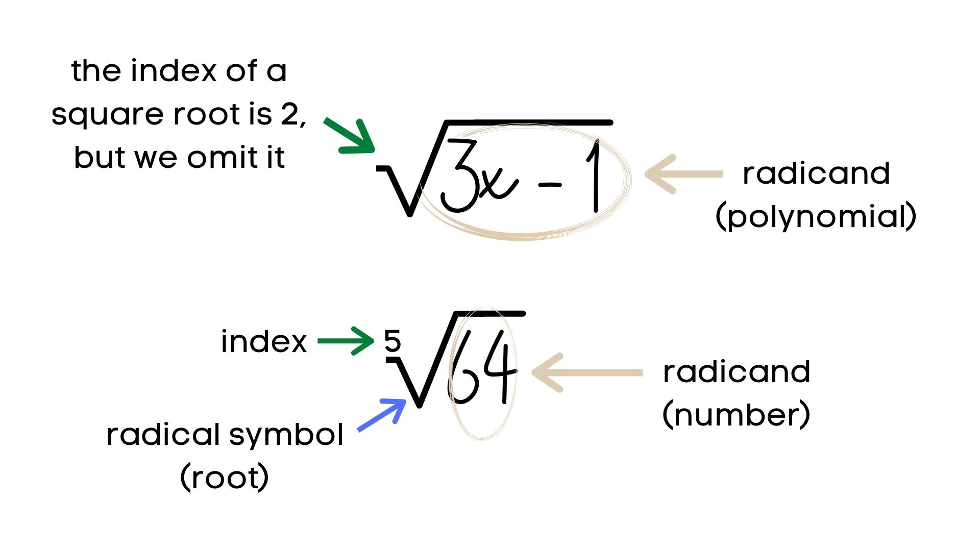 radical number 6 in astrology